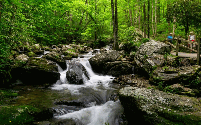 Changemakers Camping Experience – Founders & Professionals Edition